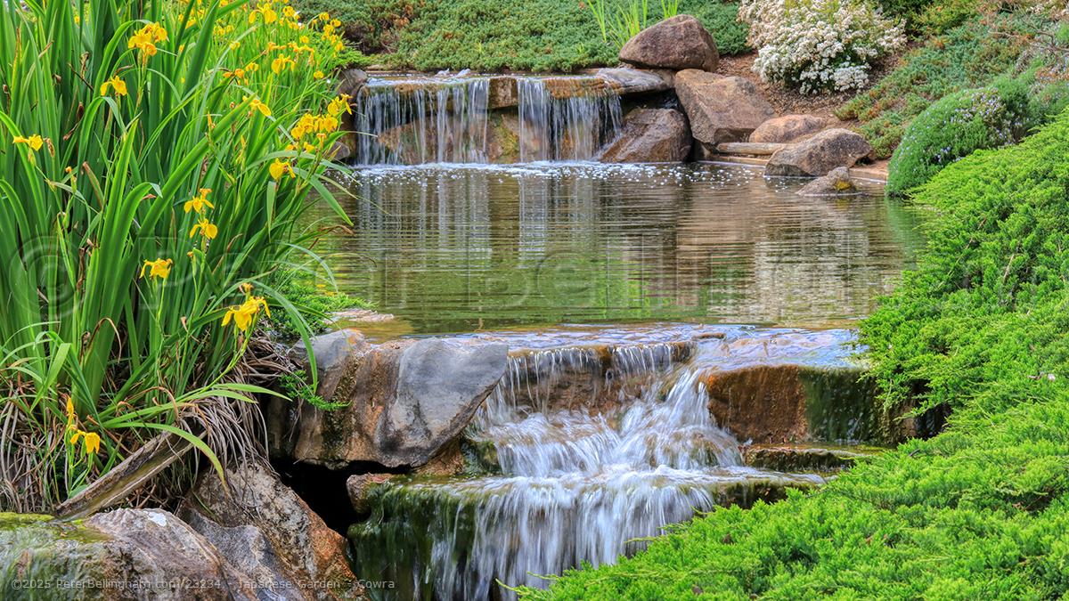 Peter Bellingham Photography Japanese Garden - Cowra